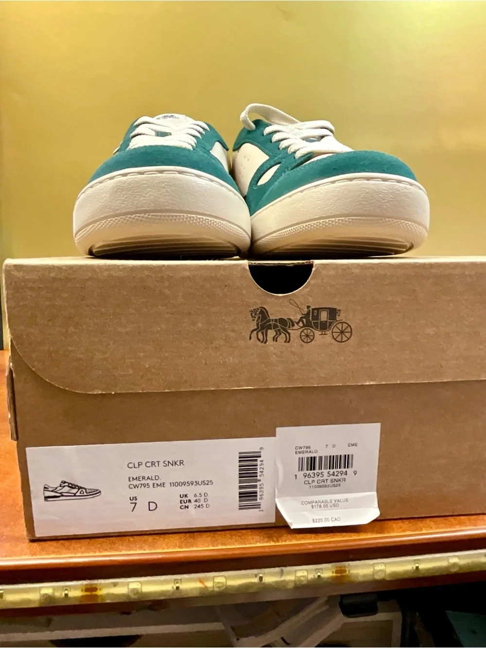 Coach suede teal